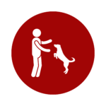 dog jumping on guests icon